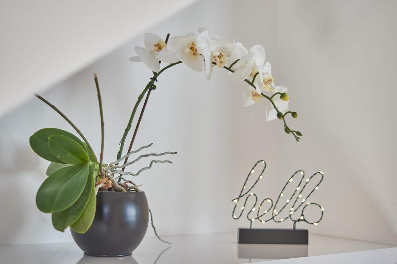 Apartman Rafi Čakovec Extérieur photo